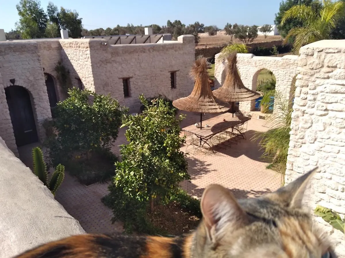 Riad Mamy Wababi Essaouira 0*,  Morocco